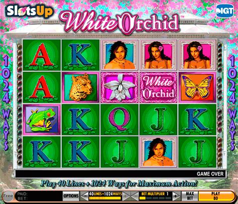 white orchid slots - white orchid slot machine free